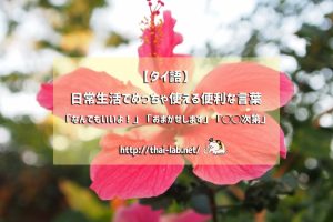 【タイ語】日常生活でめっちゃ使える便利な言葉「なんでもいいよ！」「おまかせします」「◯◯次第」