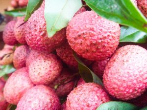 64f7187c799c079b65428b6b08a6a455_s