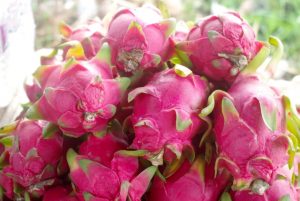 タイの季節ごとの旬フルーツ【タイ名称付き】マンゴスチンの旬はいつ?