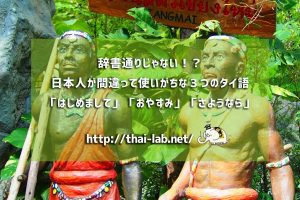 辞書通りじゃない!?日本人が間違って使いがちな3つのタイ語「はじめまして」「おやすみ」「さようなら」