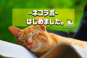 -ネコラボ-　始めました。
