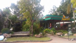 【カフェ・アマゾン】日本に進出したcafe・Amazon　本場タイの店舗はどんな感じ?