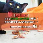 【緊急速報!!】タイでLINE乗っ取り詐欺が発生!その巧妙な手口と対処方法は!?