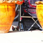 ラオス ビエンチャンで見かけた親子ネコ【ネコラボ＃11】