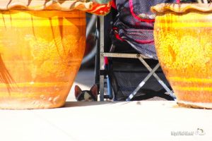 ラオス ビエンチャンで見かけた親子ネコ【ネコラボ#11】