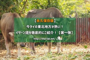 【永久保存版】今タイの東北地方が熱い!イサーン語を徹底的にご紹介!【第一弾】