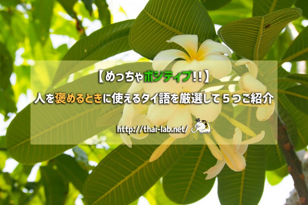 【めっちゃポジティブ!!】人を褒めるときに使えるタイ語を厳選して５つご紹介！