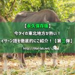 【永久保存版】今タイの東北地方が熱い! イサーン語を徹底的にご紹介!【第三弾】