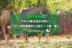 【永久保存版】今タイの東北地方が熱い! イサーン語を徹底的にご紹介!【第三弾】
