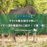 【永久保存版】今タイの東北地方が熱い! イサーン語を徹底的にご紹介!【第四弾】