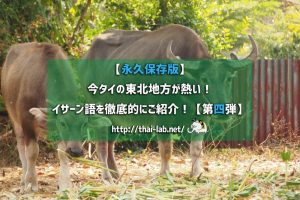 【永久保存版】今タイの東北地方が熱い！ イサーン語を徹底的にご紹介！【第四弾】