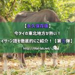 【永久保存版】今タイの東北地方が熱い!  イサーン語を徹底的にご紹介!【第五弾】