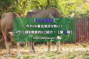 【永久保存版】今タイの東北地方が熱い!  イサーン語を徹底的にご紹介!【第五弾】