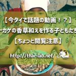 【今タイで話題の動画!?】トカゲの香草和えを作る子どもたち【ちょっと閲覧注意】