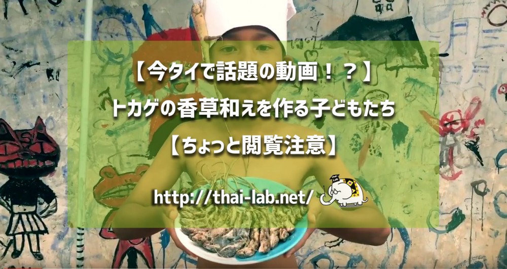 【今タイで話題の動画！？】トカゲの香草和えを作る子どもたち【ちょっと閲覧注意】