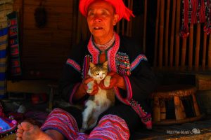 「バーントーンルアン」で見かけた猫たち【ネコラボ#18】