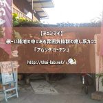 【チェンマイ】細ーい路地の中にある雰囲気抜群の癒し系カフェ「アムリタ ガーデン」