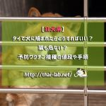 【狂犬病】タイで犬に噛まれたらどうすればいい?猫も危ない?予防ワクチン接種の値段や手順