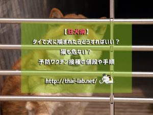 【狂犬病】タイで犬に噛まれたらどうすればいい?猫も危ない?予防ワクチン接種の値段や手順