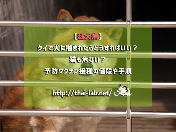 【狂犬病】タイで犬に噛まれたらどうすればいい？猫も危ない？予防ワクチン接種の値段や手順