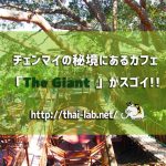 【インスタ映え】チェンマイの秘境にあるカフェ「The Giant 」がスゴイ!メニューと行き方
