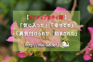 【ポジティブなタイ語】「気に入った」「幸せです」「勇気付けられた、励まされた」