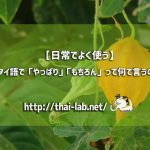 【日常でよく使う】タイ語で「やっぱり」「もちろん」って何て言うの?