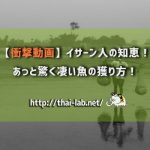 【衝撃動画】イサーン人の知恵！あっと驚く凄い魚の獲り方！