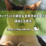 タイでペットの避妊&去勢手術を受ける値段と注意点