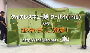 【閲覧注意】 ボスキャラ◯◯登場 vs タイのレスキュー隊　グーパイ(กู้ภัย)