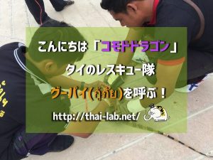 こんにちは「コモドドラゴン」　タイのレスキュー隊グーパイ(กู้ภัย)を呼ぶ！