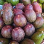 ラオスのビエンチャンでは今まさに「アボカド」が旬!買って食べてみた。