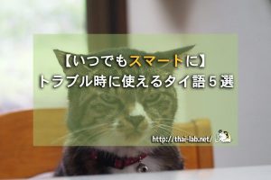 【いつでもスマートに】トラブル時に使えるタイ語５選