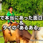 「氷の値段」【タイで本当にあった面白体験、あるあるネタ】