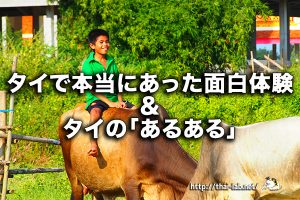「氷の値段」【タイで本当にあった面白体験、あるあるネタ】