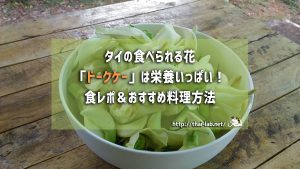 タイの食べられる花「ドークケー」は栄養いっぱい！食レポ＆おすすめ料理方法