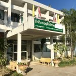 タイでペットの避妊手術を格安価格で受ける方法【半額以下】