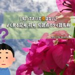 【知っておいて損はない】よく見る記号 符号 句読点のタイ語名称