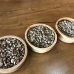 イサーンのローカルカフェでコーヒーの生豆を買って自家焙煎してみた