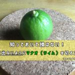 知っておいて損はない!種が出ないようにマナオ(ライム)を切る方法