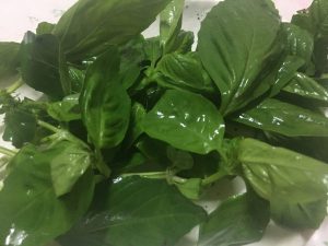 【朗報】ついにタイMakroで「生バジル」が買える時代に。これは自炊が捗る!!