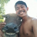これぞ【微笑みの国】自撮りをしたタイの水牛と農家の笑顔が素敵すぎる!!