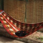 ハンモックとネコ【ネコラボ#44】