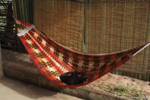 ハンモックとネコ【ネコラボ＃４４】