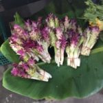 今が旬!タイの市場で見かけた「ウコンの花」が美味しかった