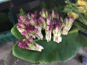 今が旬！タイの市場で見かけた「ウコンの花」が美味しかった
