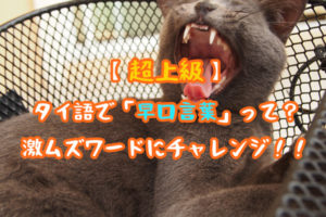 【超上級】タイ語で「早口言葉」って?6つの激ムズワードにチャレンジ!!