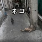 【マニア必見!】バンコクのマイナーで超細い路地がイイ感じ