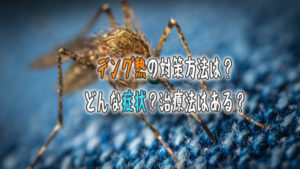 デング熱の対策方法は?どんな症状?治療法はある?