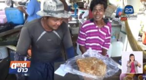 【一攫千金】失業中の漁師が2.5㎏の巨大龍涎香を発見!【タイニュース】